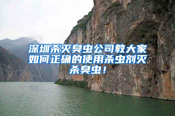 深圳殺滅臭蟲公司教大家如何正確的使用殺蟲劑滅殺臭蟲！