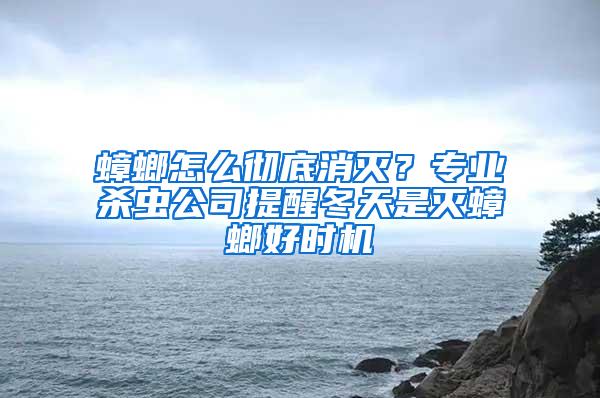 蟑螂怎么徹底消滅？專業(yè)殺蟲公司提醒冬天是滅蟑螂好時(shí)機(jī)