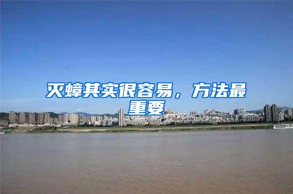 滅蟑其實很容易，方法最重要