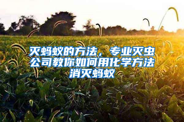 滅螞蟻的方法，專業(yè)滅蟲公司教你如何用化學(xué)方法消滅螞蟻