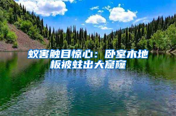 蟻害觸目驚心：臥室木地板被蛀出大窟窿