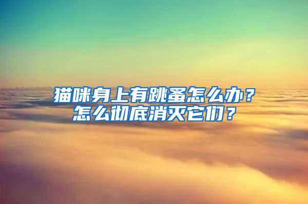 貓咪身上有跳蚤怎么辦？怎么徹底消滅它們？