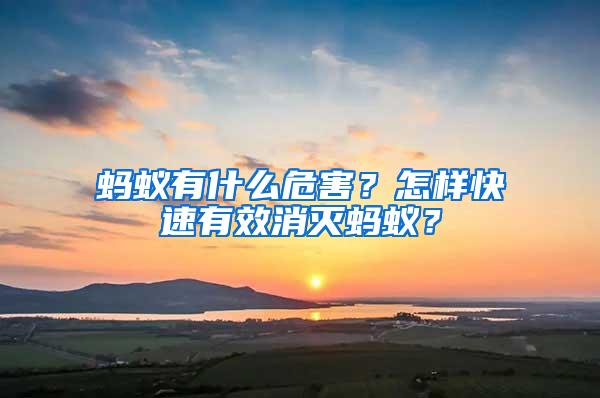 螞蟻有什么危害？怎樣快速有效消滅螞蟻？