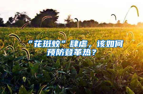 “花斑蚊”肆虐，該如何預(yù)防登革熱？