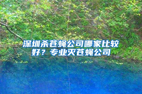 深圳殺蒼蠅公司哪家比較好？專業(yè)滅蒼蠅公司