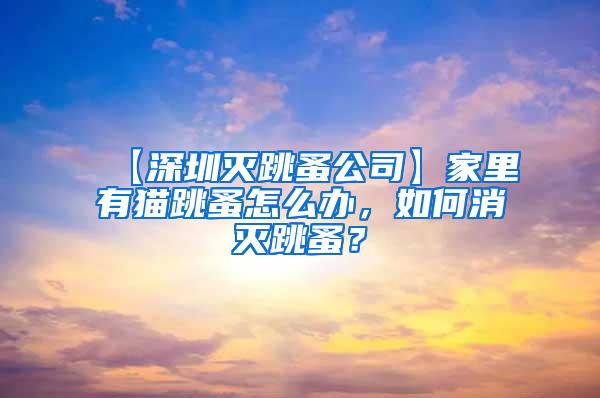 【深圳滅跳蚤公司】家里有貓?zhí)樵趺崔k，如何消滅跳蚤？