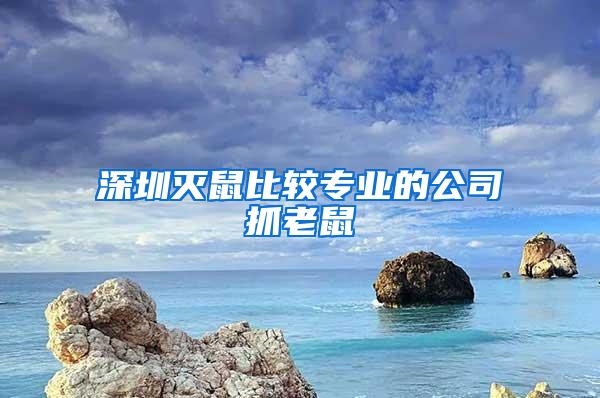 深圳滅鼠比較專業(yè)的公司抓老鼠