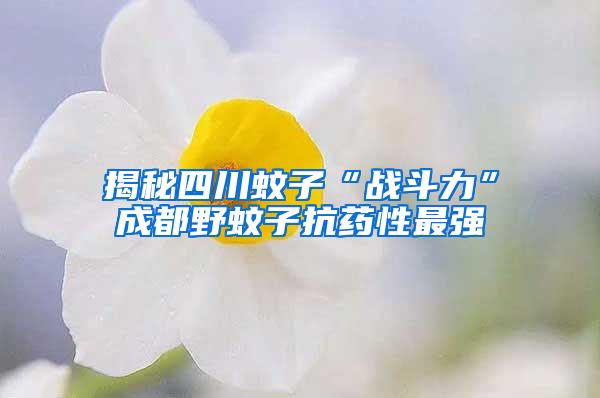 揭秘四川蚊子“戰(zhàn)斗力”成都野蚊子抗藥性最強(qiáng)