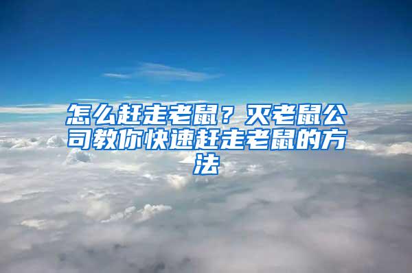 怎么趕走老鼠？滅老鼠公司教你快速趕走老鼠的方法