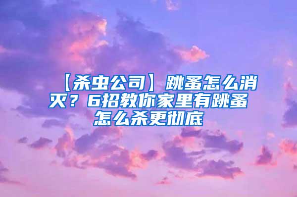 【殺蟲公司】跳蚤怎么消滅？6招教你家里有跳蚤怎么殺更徹底