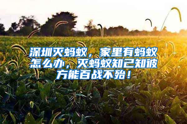 深圳滅螞蟻，家里有螞蟻怎么辦，滅螞蟻知己知彼方能百戰(zhàn)不殆！