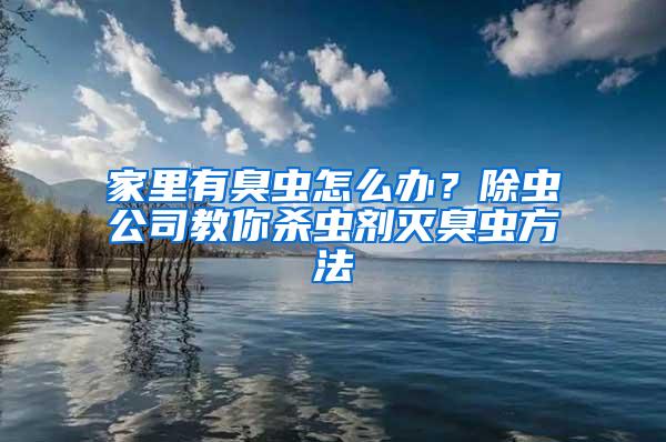 家里有臭蟲怎么辦？除蟲公司教你殺蟲劑滅臭蟲方法