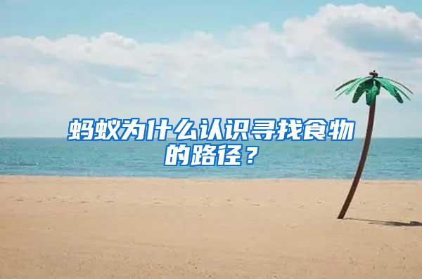 螞蟻為什么認(rèn)識(shí)尋找食物的路徑？