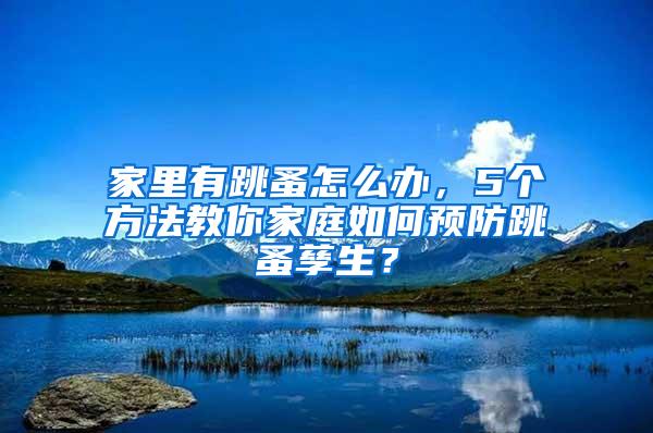 家里有跳蚤怎么辦，5個(gè)方法教你家庭如何預(yù)防跳蚤孳生？