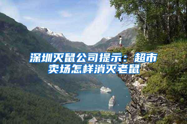 深圳滅鼠公司提示：超市賣場怎樣消滅老鼠