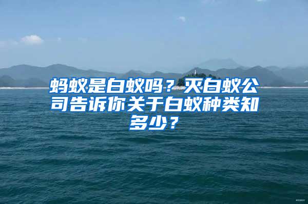 螞蟻是白蟻嗎？滅白蟻公司告訴你關(guān)于白蟻種類(lèi)知多少？