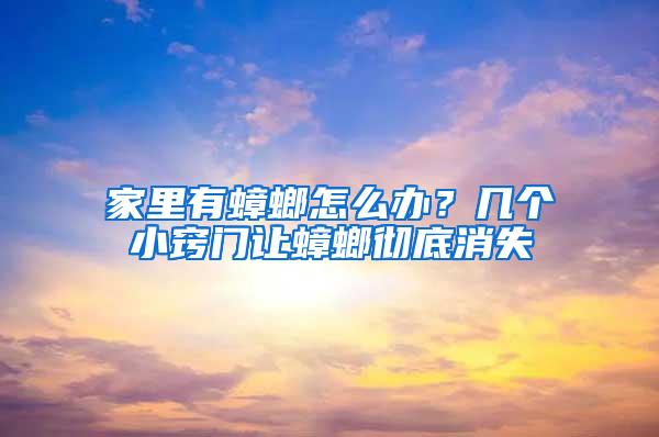 家里有蟑螂怎么辦？幾個(gè)小竅門(mén)讓蟑螂徹底消失