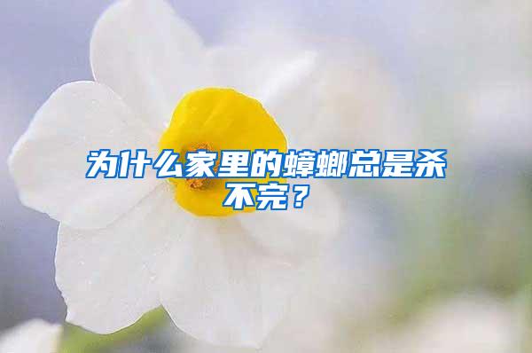 為什么家里的蟑螂總是殺不完？