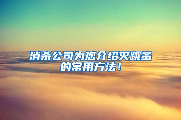 消殺公司為您介紹滅跳蚤的常用方法！