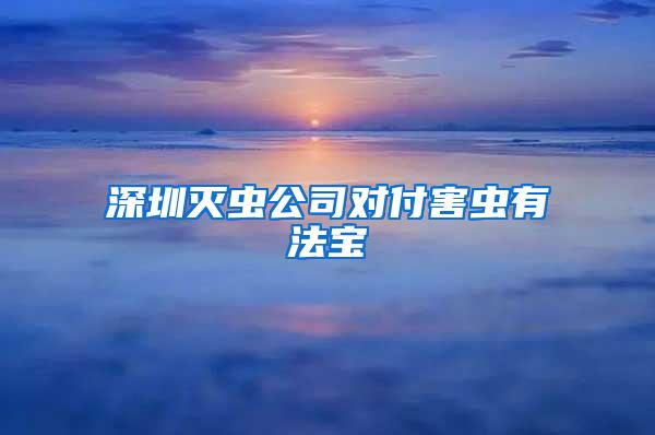 深圳滅蟲公司對(duì)付害蟲有法寶