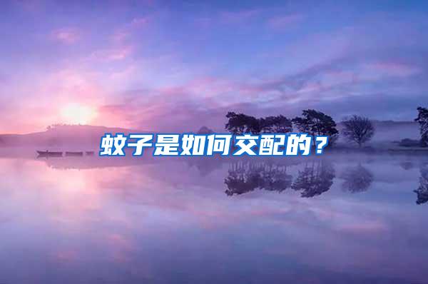 蚊子是如何交配的？