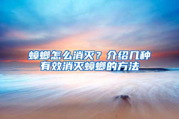 蟑螂怎么消滅？介紹幾種有效消滅蟑螂的方法