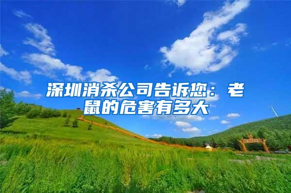 深圳消殺公司告訴您：老鼠的危害有多大