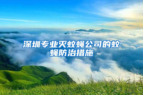 深圳專業(yè)滅蚊蠅公司的蚊蠅防治措施