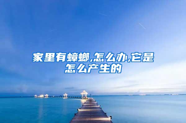 家里有蟑螂,怎么辦,它是怎么產(chǎn)生的