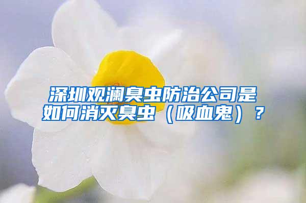 深圳觀瀾臭蟲防治公司是如何消滅臭蟲（吸血鬼）？