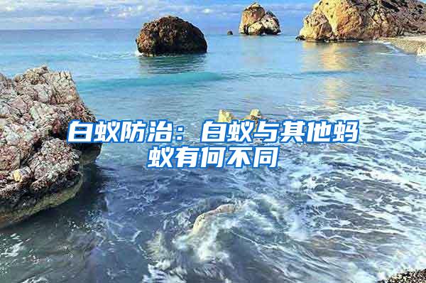 白蟻防治：白蟻與其他螞蟻有何不同