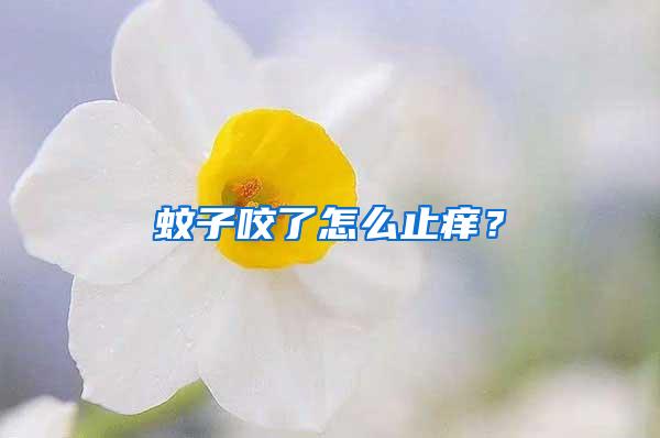 蚊子咬了怎么止癢？