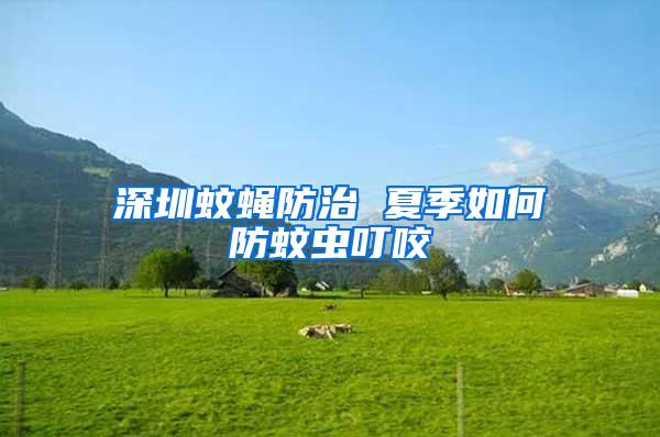 深圳蚊蠅防治 夏季如何防蚊蟲叮咬