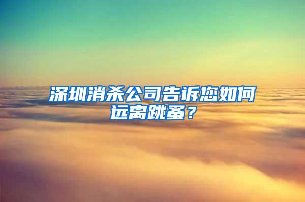 深圳消殺公司告訴您如何遠離跳蚤？