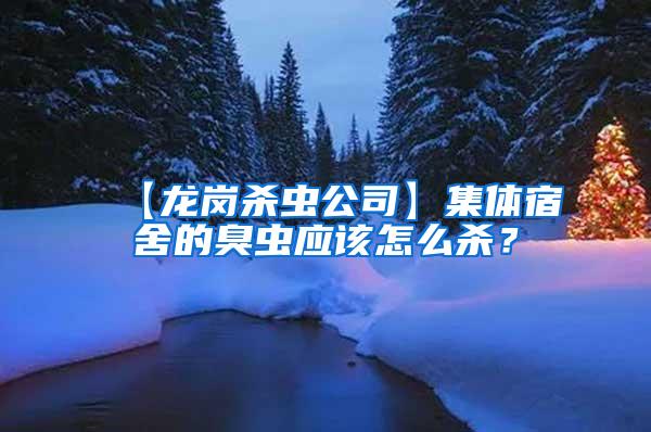 【龍崗殺蟲(chóng)公司】集體宿舍的臭蟲(chóng)應(yīng)該怎么殺？