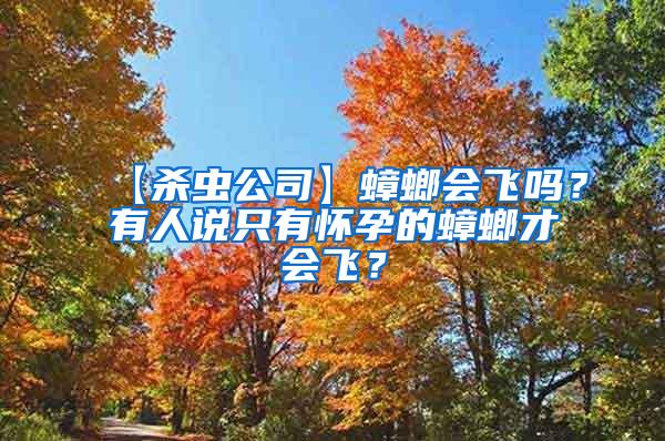 【殺蟲公司】蟑螂會(huì)飛嗎？有人說只有懷孕的蟑螂才會(huì)飛？