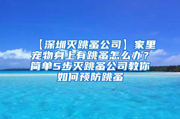 【深圳滅跳蚤公司】家里寵物身上有跳蚤怎么辦？簡單5步滅跳蚤公司教你如何預(yù)防跳蚤