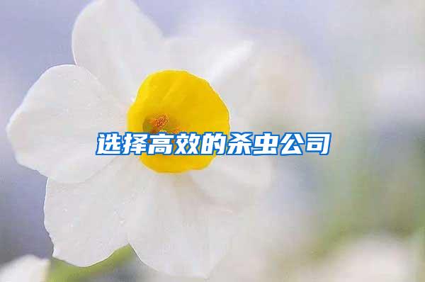 選擇高效的殺蟲(chóng)公司