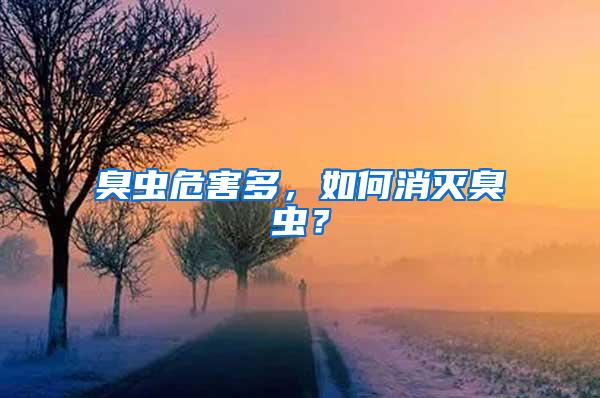 臭蟲(chóng)危害多，如何消滅臭蟲(chóng)？