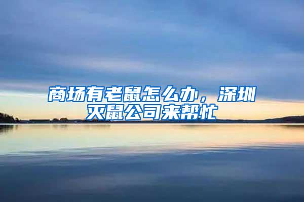 商場有老鼠怎么辦，深圳滅鼠公司來幫忙