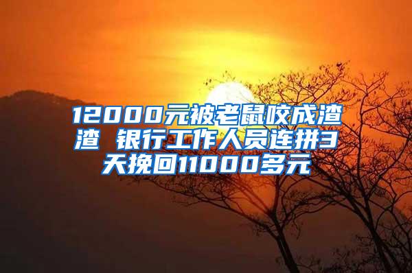 12000元被老鼠咬成渣渣 銀行工作人員連拼3天挽回11000多元