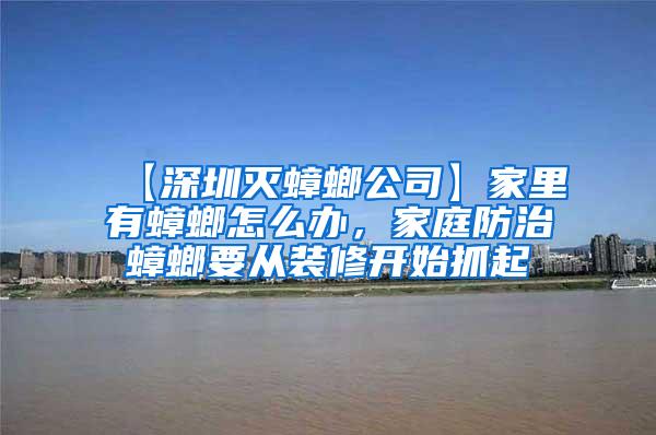 【深圳滅蟑螂公司】家里有蟑螂怎么辦，家庭防治蟑螂要從裝修開始抓起