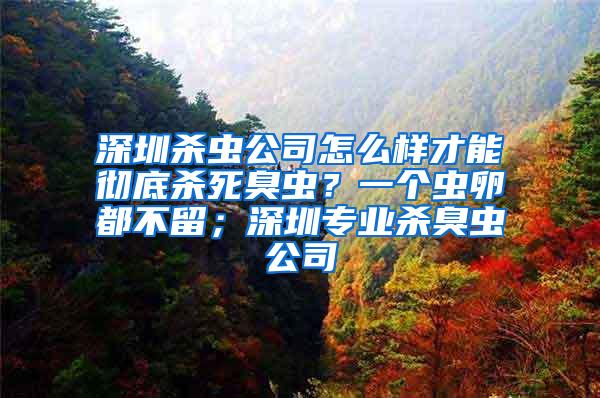 深圳殺蟲公司怎么樣才能徹底殺死臭蟲？一個(gè)蟲卵都不留；深圳專業(yè)殺臭蟲公司