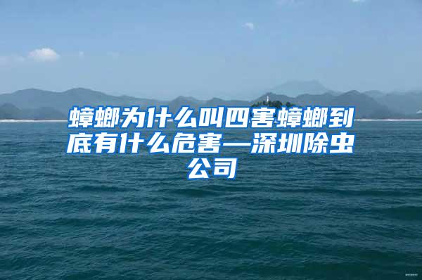 蟑螂為什么叫四害蟑螂到底有什么危害—深圳除蟲公司