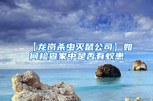 【龍崗殺蟲(chóng)滅鼠公司】如何檢查家中是否有蟻患