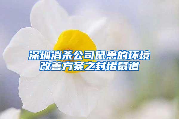 深圳消殺公司鼠患的環(huán)境改善方案之封堵鼠道