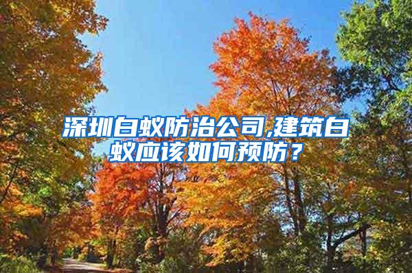 深圳白蟻防治公司,建筑白蟻應該如何預防？