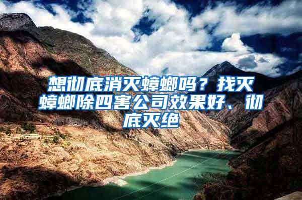 想徹底消滅蟑螂嗎？找滅蟑螂除四害公司效果好、徹底滅絕