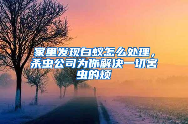 家里發(fā)現(xiàn)白蟻怎么處理，殺蟲(chóng)公司為你解決一切害蟲(chóng)的煩