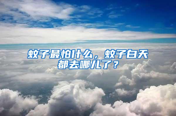 蚊子最怕什么，蚊子白天都去哪兒了？